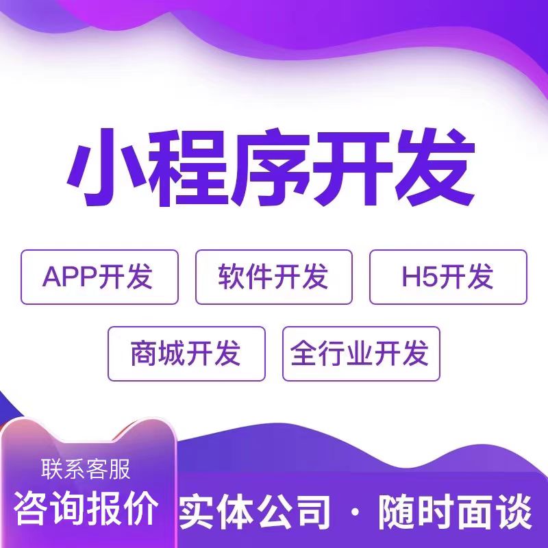 小程序软件开发定制服务